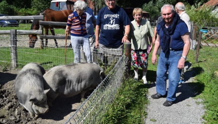 Aktivizační činnosti Domov Alzheimer