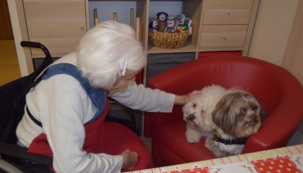 Aktivizační činnosti Domov Alzheimer