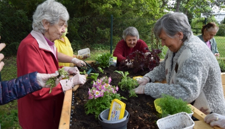 Aktivizační činnosti Domov Alzheimer