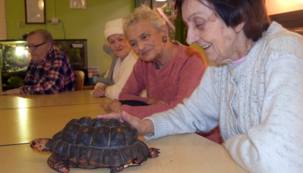 Aktivizační činnosti Domov Alzheimer