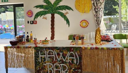 2. ročník Hawai party