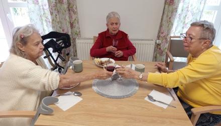 Svatomartinské hody