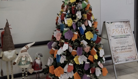 Vánoční Strom přání pro Domov Alzheimer v Darkově