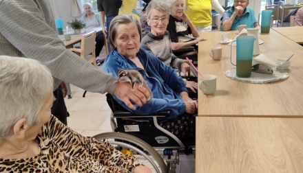 Zvířátka s Patrikem