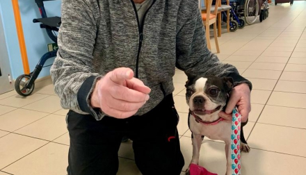 Psí návštěva Kobliha