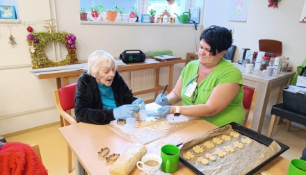 Připravujeme linecké cukroví