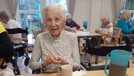 Předvánoční přípravy