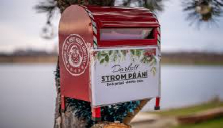 Strom z Karvinského moře spojil děti a klienty Domova