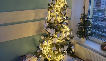 Vánoce, jako každý rok