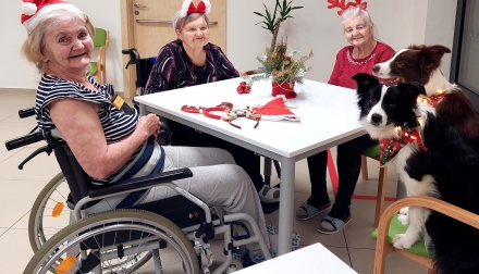 Vánoční canisterapie