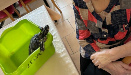 Dopolední aktivizace: Každý den má smysl