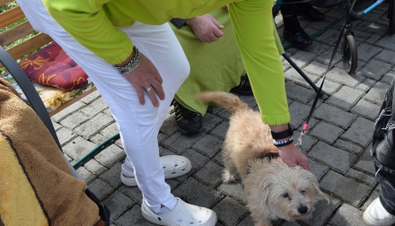 Návštěva studentů PRIGO – setkání se zvířecími mazlíčky