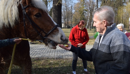 Domov Alzheimer Darkov kůň