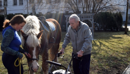 Domov Alzheimer Darkov kůň