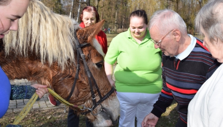 Domov Alzheimer Darkov kůň