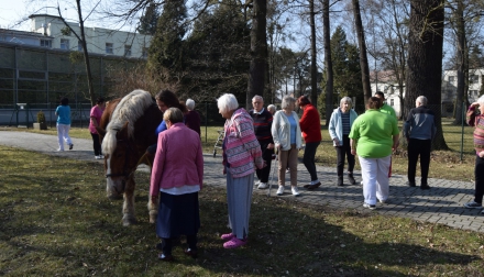 Domov Alzheimer Darkov kůň