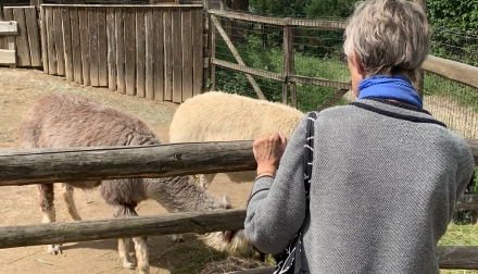 Domov Alzhemer Roztoky zoopark