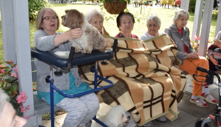 Domov Alzheimer Darkov canis v přírodě