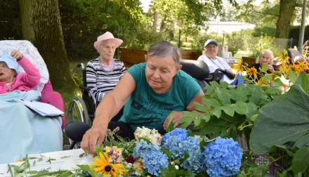 Domov Alzheimer Darkov květinky