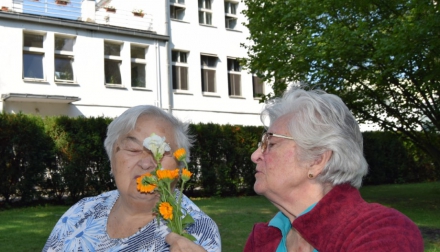 Domov Alzheimer Darkov srpen kytičky