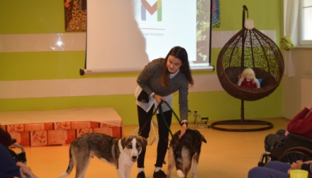 Beseda se studenty veterinářství