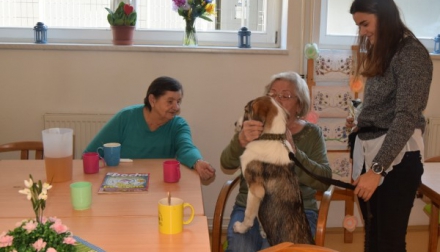 Beseda se studenty veterinářství