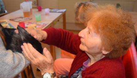 Beseda se studenty veterinářství